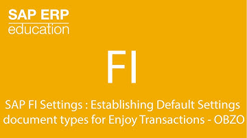 SAP FI Settings : Establishing Default Settings the document types for Enjoy Transactions OBZO