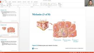Bio 203 Integumentary System Part 3