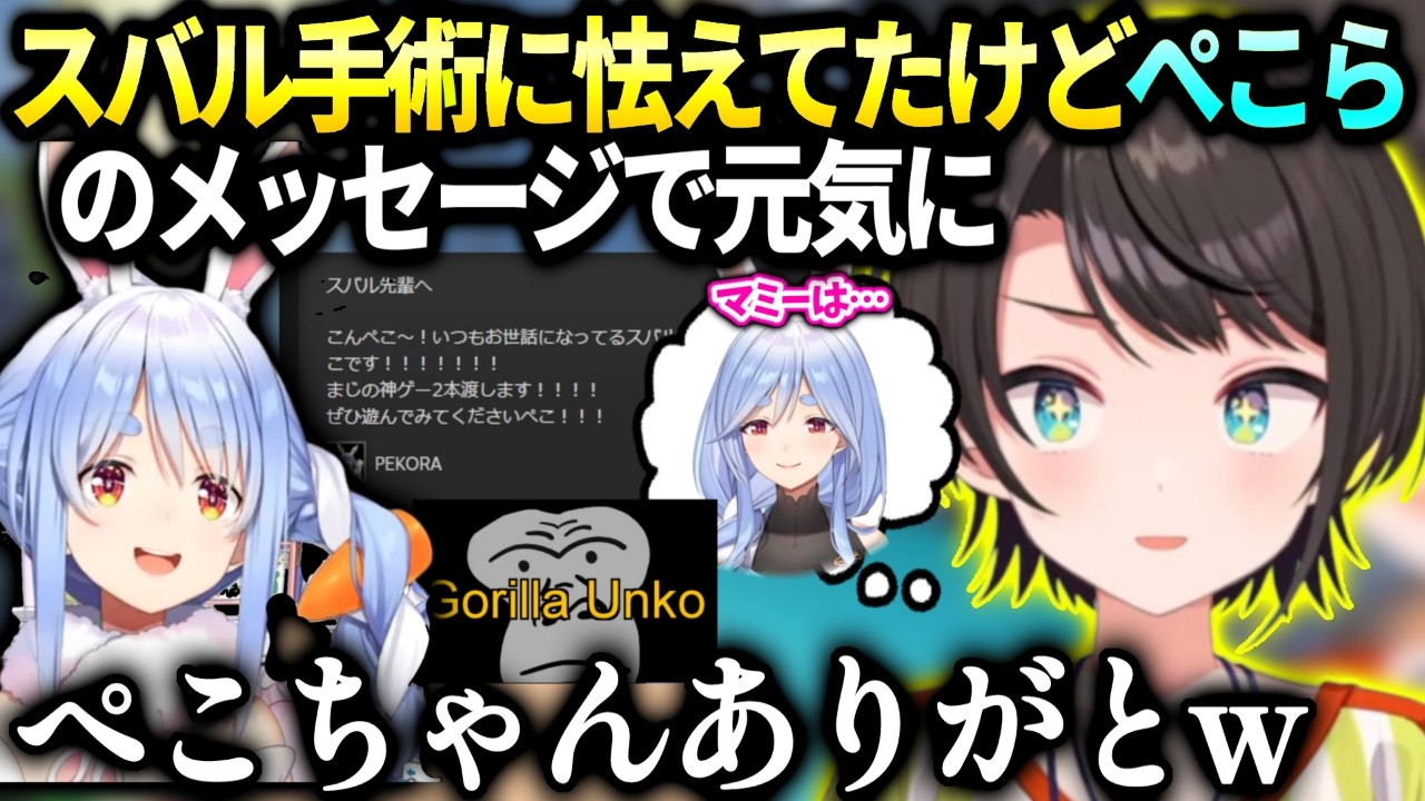 スバルぺこらのメッセージで不安な気持ちが晴れた件【大空スバル/ホロライブ】