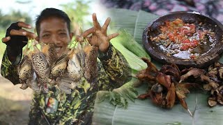 Hunting wild QUAIL in the morning, automatically get a lot❗Madhank Geden