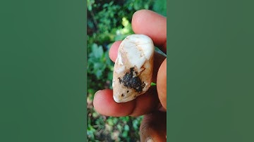 The color of this agate is white with some brown or darker inclusions/markings
