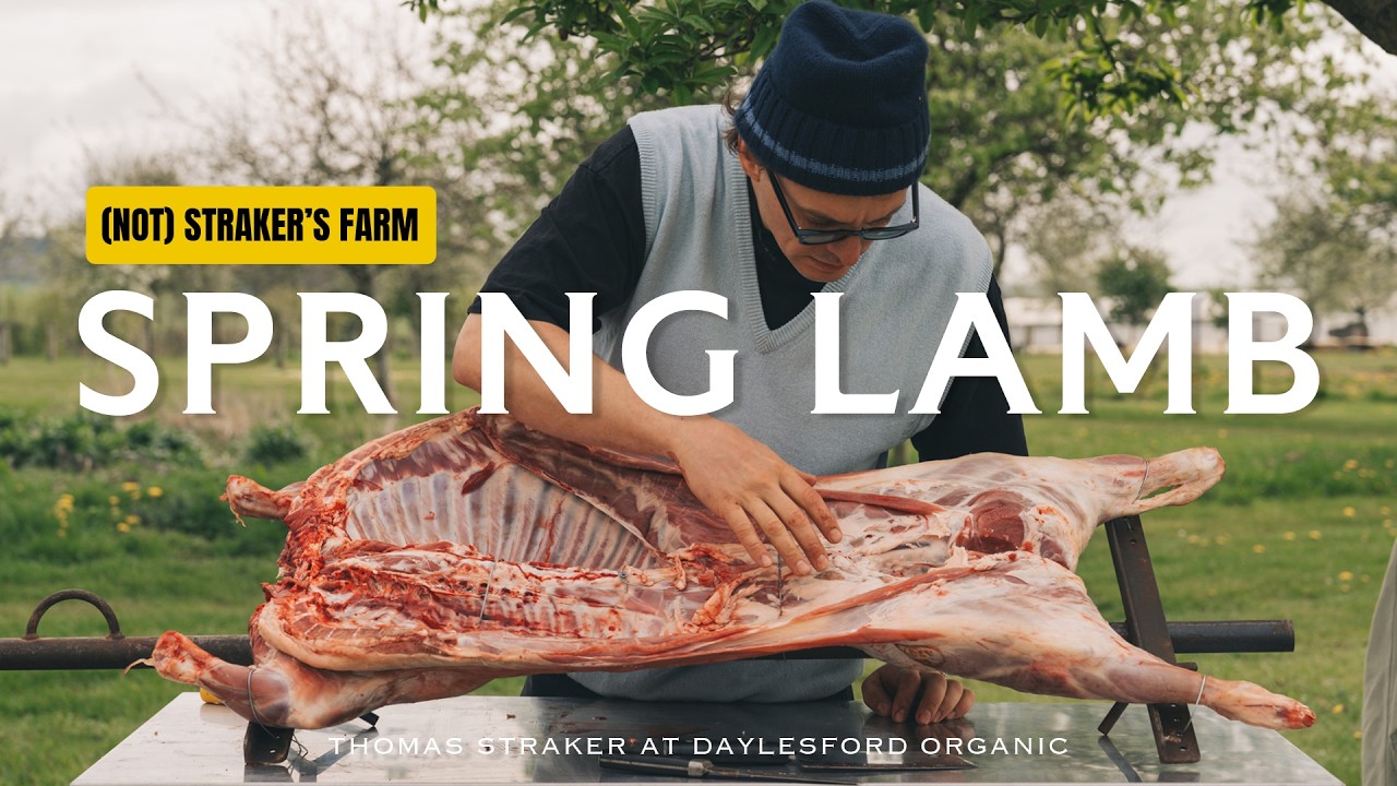 Raised & Roasted: Thomas Straker Goes Lambing | (Not) Straker’s Farm | April at Daylesford