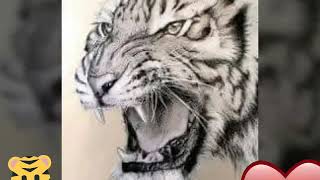 MAJELIS DZIKRULLAH LASKAR MACAN PUTIH...CAB.CILACAP TIMUR