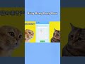 猫の鳴き声でブリンバンバンボーン演奏してみた #shorts