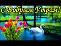 С Добрым Утром! Красивейшая Песня для Вас! Только Послушайте!  Пожелание с Добрым Утром Хорошего дня