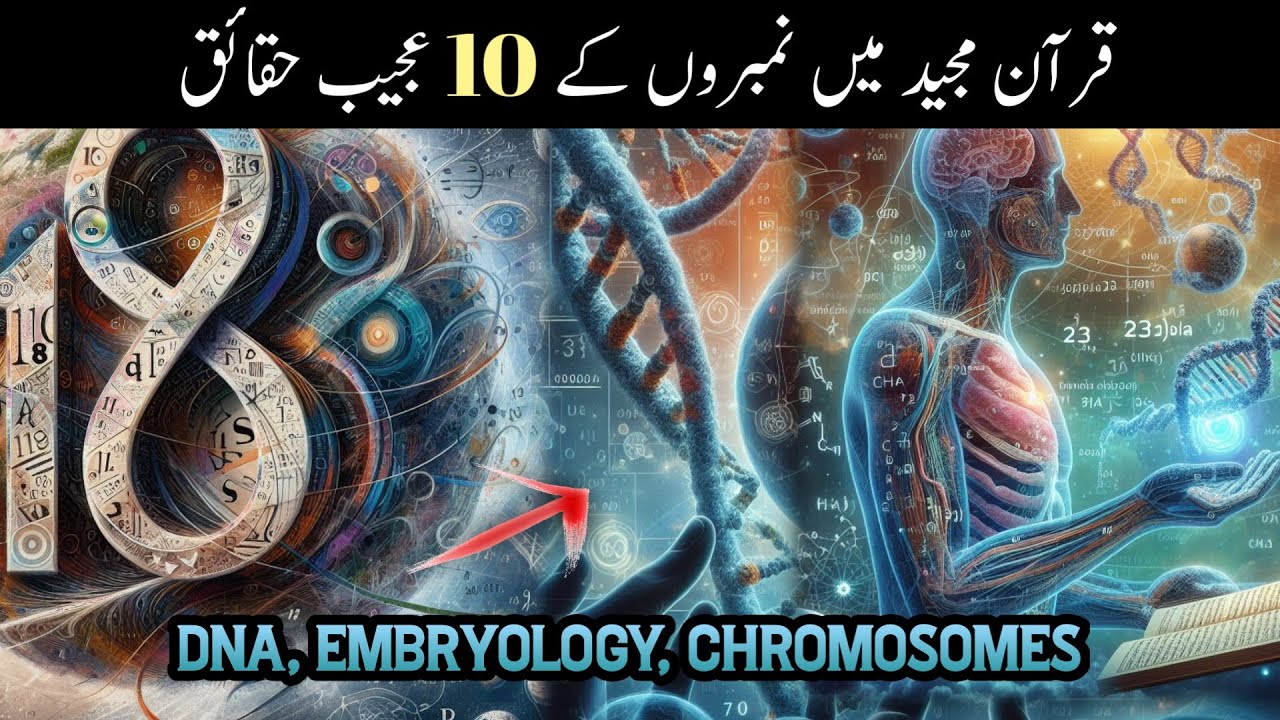 Top 10 Quranic Insights on DNA, Embryology, and Chromosomes