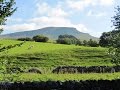 Yorkshire Dales Country Walk   The Yorkshire Three Peaks No 1  Pen y ghent from Horton in Ribblesdal