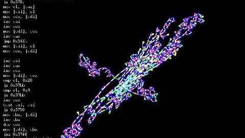 Morphological Extraction : DoS.Win32.HackNuke.20