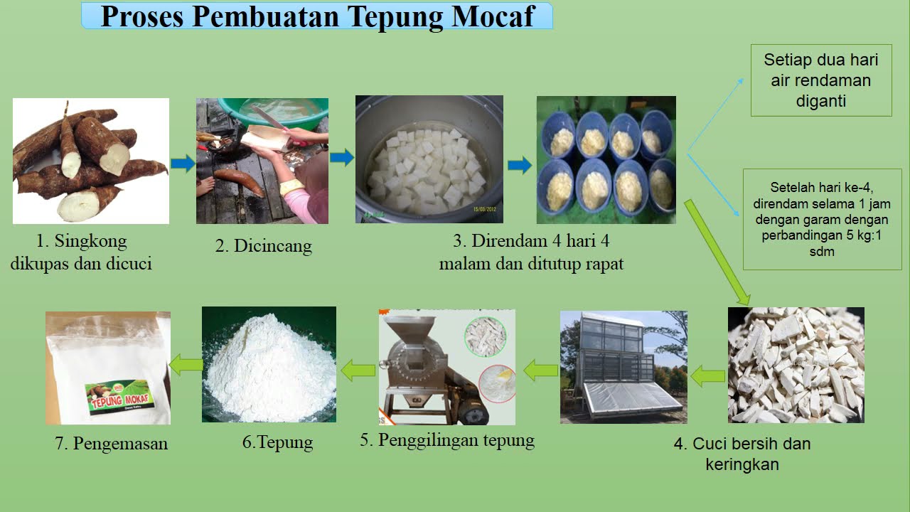 SOSIALISASI PENGOLAHAN UBI KAYU MENJADI TEPUNG MOCAF - Pengabdian