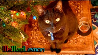 Holiday Special 2021 - Ms Mad Lemon
Website: http://www.msmadlemon.com
Support me on Patreon: https://www.patreon.com/msmadlemon
PCBWay full feature high quality services: https://www.pcbway.com/
Mentioned Links
More Christmas Specials: https://www.youtube.com/playlist?list=PLTfPIrcIusfkM0sW0roxwXTaa9FJ4z3ch
Retro Lemon: https://retrolemon.co.uk/
Retro Ready: https://retroready.one/
Rhayader Computers: https://www.rhayadercomputers.co.uk/
More MsMadLemon Videos
My Amiga videos: https://www.youtube.com/playlist?list=PLTfPIrcIusflb3Giog5xbDT74GYc7tTso
My Commodore 64 videos: https://www.youtube.com/playlist?list=PLTfPIrcIusfniph_sMyL2Mc4_MCRMRE2n
My Nostalgia Time videos: https://www.youtube.com/playlist?list=PLTfPIrcIusflWiQpcDbEcAt1Yc6Yw3zVv
My Vintage Repair videos: https://www.youtube.com/playlist?list=PLTfPIrcIusfnWxl0PsKknE8dql0tDzNCU
My Audio related videos: https://www.youtube.com/playlist?list=PLTfPIrcIusfmkHzORpoQjmAn6KTqiWP3j
Chillout time, Talks, vlog: https://www.youtube.com/playlist?list=PLTfPIrcIusfmZ7Z69wAxN7pECJN4popq9
My ASMR-esque videos: https://www.youtube.com/playlist?list=PLTfPIrcIusfn6deAoKDe0mz-WKTxX2F12
My Electronics videos: https://www.youtube.com/playlist?list=PLTfPIrcIusfnsJdbi0nbrEsjxT4D3gA8K
Patron’s Channels/Sites
AxelDominator: https://projectdreamverse.com/
Electronscape: http://www.electronscape.co.uk
Modern Vintage Gamer: https://www.youtube.com/user/jimako123
Cammeltech: https://www.youtube.com/channel/UCzksHDtf1PXu5yPdOzQFQBg
Hayesmaker: http://hayesmaker.com/
Hayesmaker’s Channel: https://www.youtube.com/user/hayesmaker
Todd Gill/ Todd’s Nerd Cave: https://www.youtube.com/user/mathemabeat
#Retro #Tech #Amiga #Women #MsMadLemon #Vintage #Audio #Technology #Commodore Holiday Special 2021 - Ms Mad Lemon