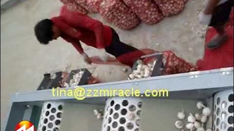 garlic sorting machine, garlic garding machine/grader, garlic sorter by size