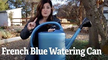 French Blue Watering Can