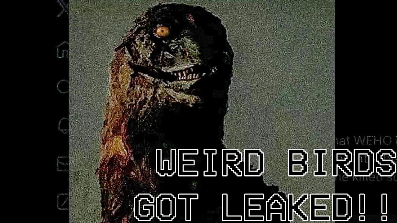 #WeirdBirds WeHo Files Leaked For All To See