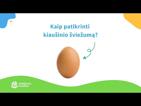 Video: Kuris inkubatorius geriausias?