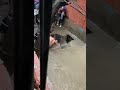 بالفيديو شوفو الصين حاليا وما تعليقكم علي الحدث 3 