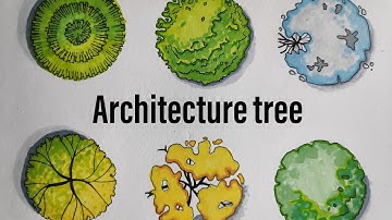 Architecture Tree plan sketching tips