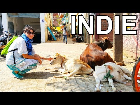 Wideo: Najlepsze atrakcje w Madurai