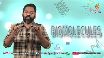 KITE VICTERS Plus One Zoology Class 19 (First Bell-ഫസ്റ്റ് ബെല്‍)