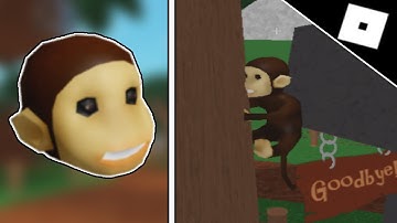 HOW TO GET THE "I FOUND A MONKEY" BADGE IN WATERPARK! | ROBLOX