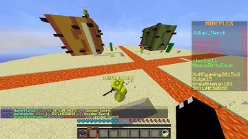 SKYLiNES0DMG hacking in mineplex micro battles