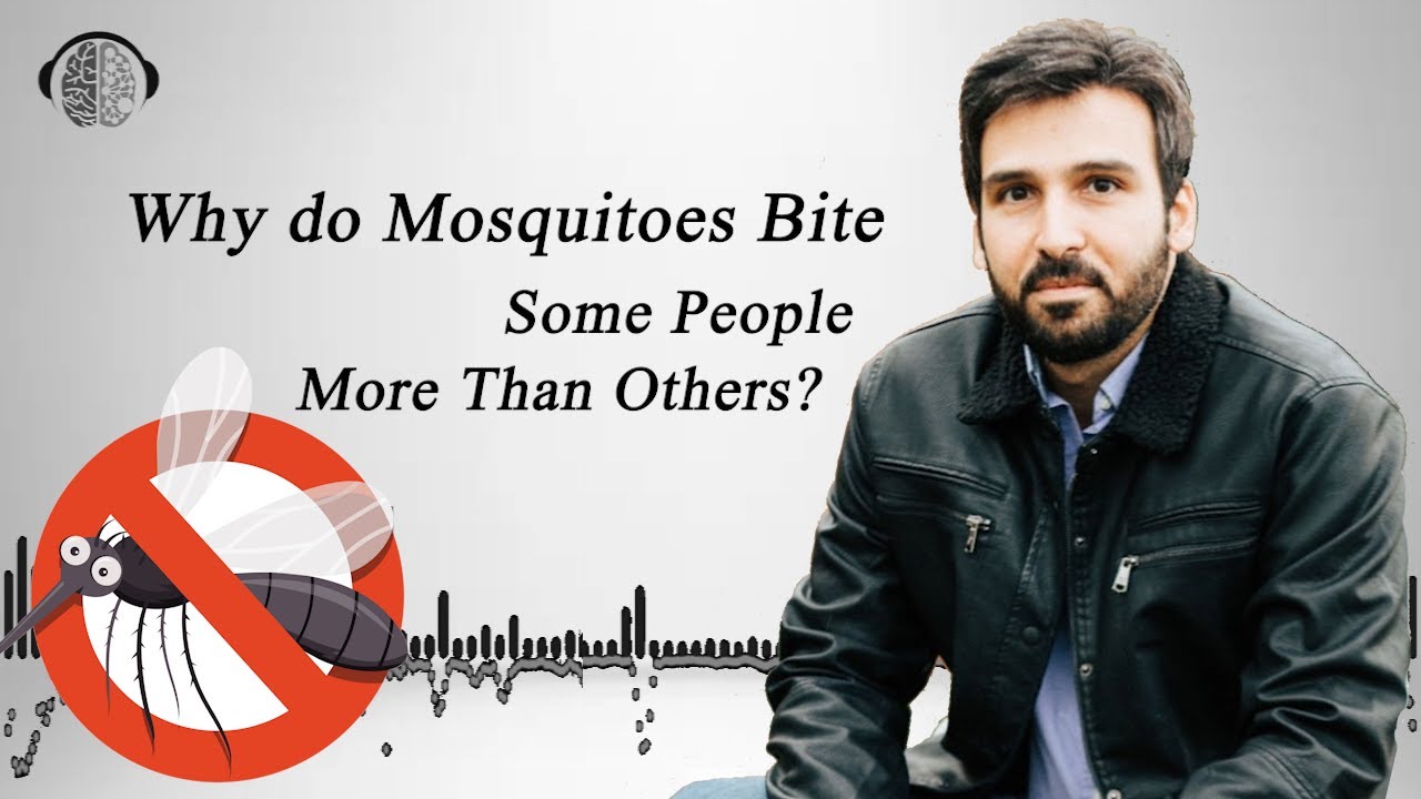 Why do Some Mosquitoes Bite Some People more than others?