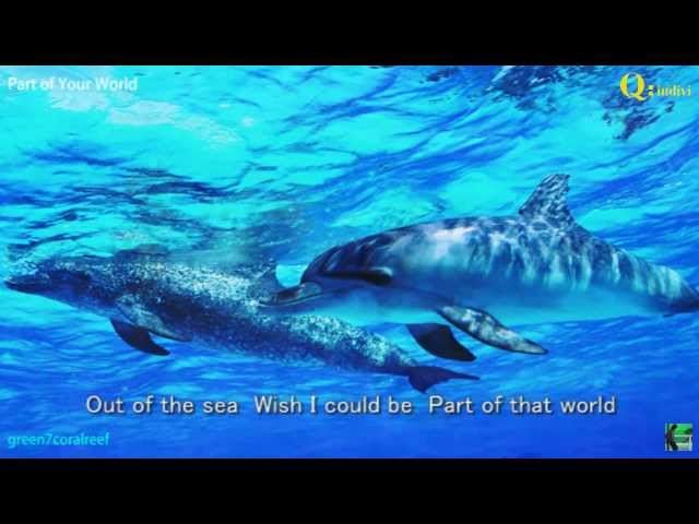 Part Of Your World Lovebeat Disney Lead Track With Lyrics Q Indivi Green7coralreef Ownd Part Of Your World Lovebeat Disney Lead Track With Lyrics Q Indivi Green7coralreef Ownd
