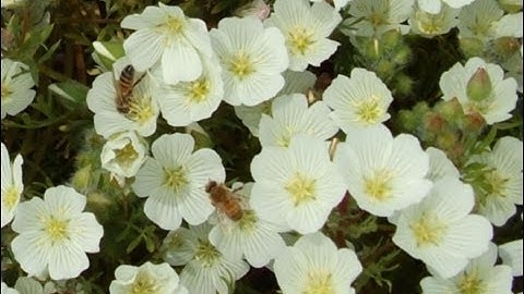 Introduction to the Augmented Experimental Design Part 7 of 8