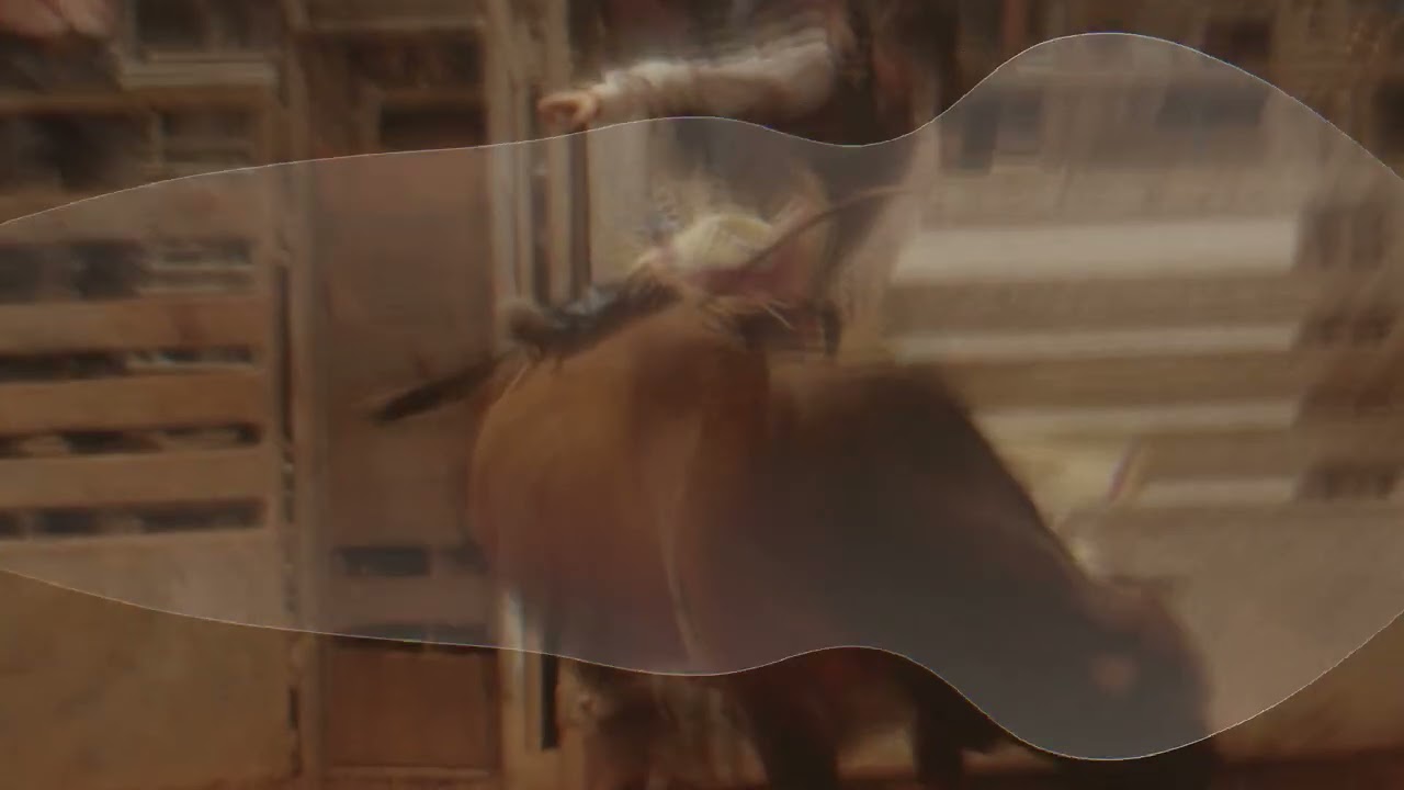 3DB7 - RODEO (Visualizer) adlı videoyu YouTube'da izle 3DB7 - RODEO (Visualizer) adlı videoyu YouTube'da izle