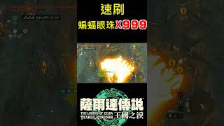 【薩爾達傳說 王國之淚】如何速刷999個蝙蝠的眼珠呢？NO BUG【地方熊貓】Tears of the Kingdom ティアーズ オブ ザ キングダム#shorts