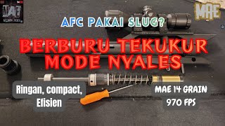 NYALES ||| Berburu Terkukur Awal Musim, Cukup 1 jam Poin Banyak