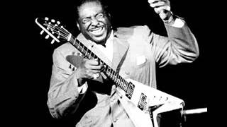 Miniatura de vídeo de "Albert King - The Hunter"