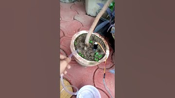 Plant Monitoring System arduino #project #robotics #electronic #students #iot #ideas