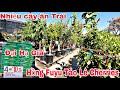 HomeDepot Tháng 5 Memorial Day Đại Hạ giá Đất, Cây giống mua mau kẻo hết Hạn chỉ còn 3 ngày 5/28