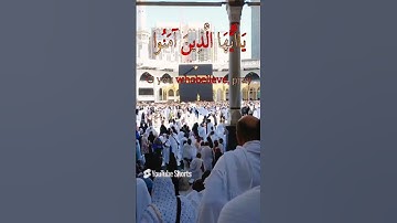 إن الله وملائكته يصلون على النبي # الشيخ  هاني الرفاعي #سورة الاحزاب#قراءن كريم# رمضان 2023