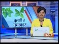 Tulsi Leaves Can Help Fight Cancer says a Research - India TV