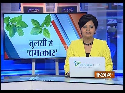 Tulsi Leaves Can Help Fight Cancer says a Research - India TV