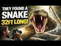 They Found a Snake 32ft Long and Caught It On Camera