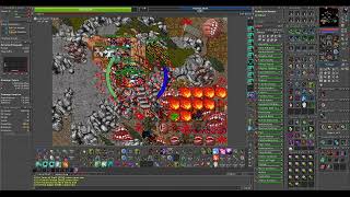 Tibia War Quintera- Lheito Billonarie 817 RP Rosh Stack