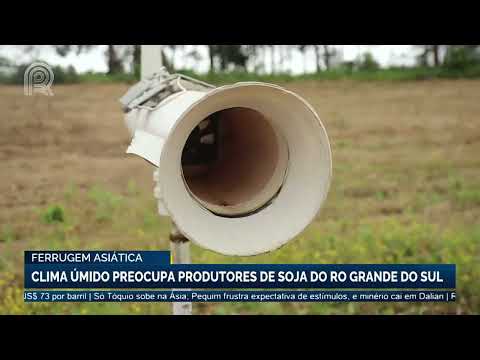 Ferrugem asiática: clima úmido preocupa produtores de soja do Rio Grande do Sul | Canal Rural