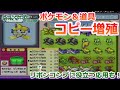 エメラルドコピー増殖バグを使用してリボンコンプを3倍楽にする方法！！【ポケモン エメラルド】