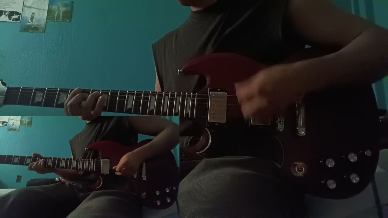Apple Vines - The Autocollants (Guitar Cover)