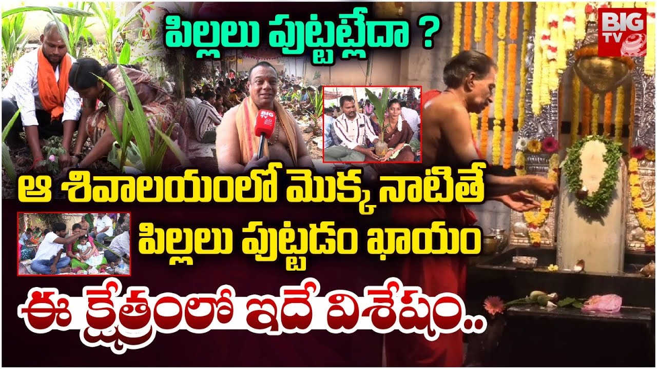 Palakollu Chikkala Shiva Temple | Maha Shivaratri : ఈ క్షేత్రంలో ఇదే విశేషం| West Godavari | BIG TV