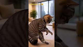cat doing dance like pro 🤣 #cat