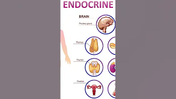 INTRODUCTION TO ENDOCRINE SYSTEM