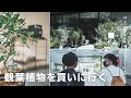 【社会人の休日】友人と観葉植物を買いに行く。購入品紹介。 | Vlog