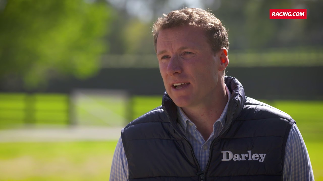 Darley stallion Territories profile