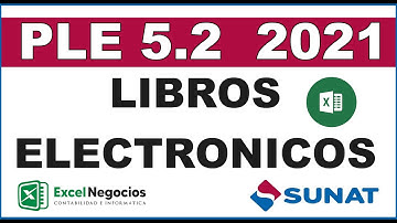 PLE 5.2 Libros Electronicos - Macros Excel 2021