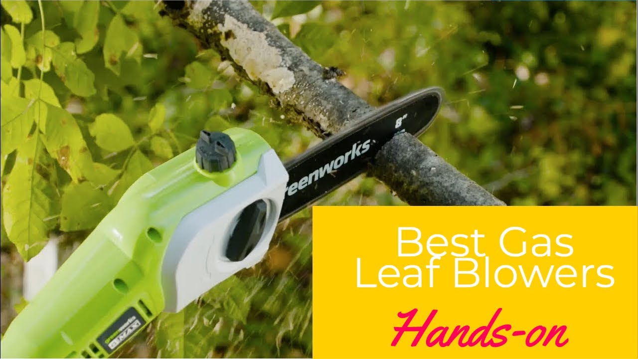 Best Cordless Pole Saws in 2022 - Reach 