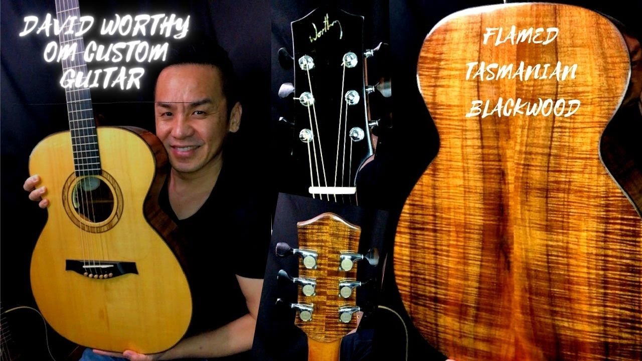 tasmanian blackwood guitar