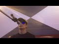 美川憲一  新潟ブルース🌾🌾🎤cover  ✌️😁✌️🗾